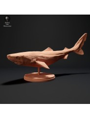 Tiburón de Groenlandia