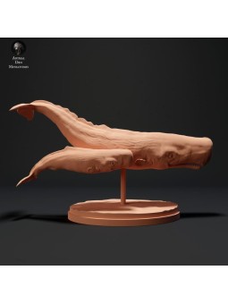 sperm whale with calf