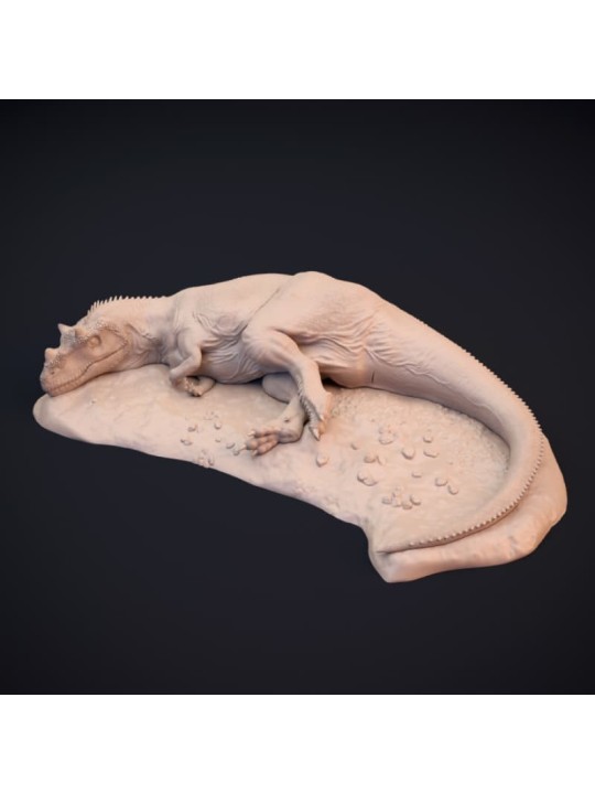 Ceratosaurus dormido