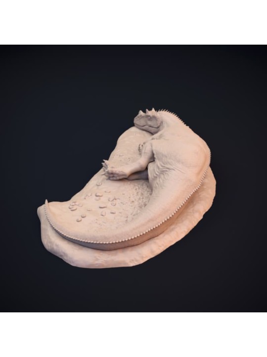 Ceratosaurus dormido