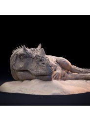 Ceratosaurus dormido