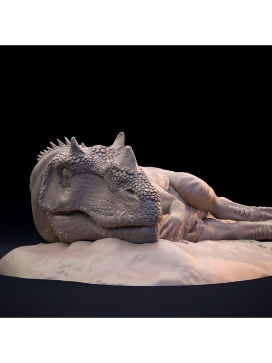 Ceratosaurus dormido