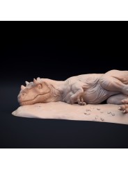 Ceratosaurus dormido