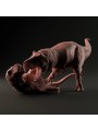 Tyrannosaurus Rex luchando