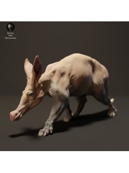 Aardvark