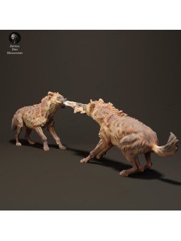 hyenas fighting for food