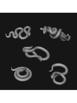 Serpientes en miniatura - Oda Models