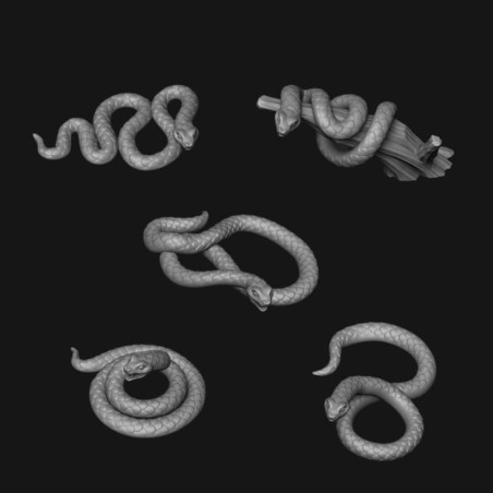 Snakes to Paint - Oda Models