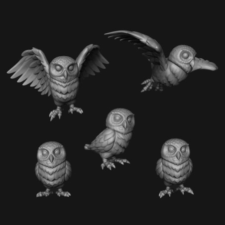 Owls