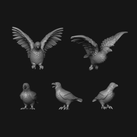 Pigeons