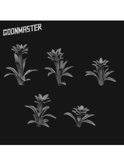 Planta espada llameante