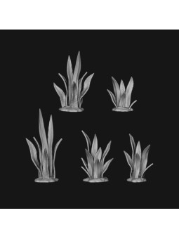 devil's tongue plant