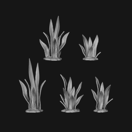 Planta lengua del diablo