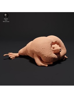 Mexican Burrowing Toad Croaking