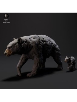 Black bear and bear cub