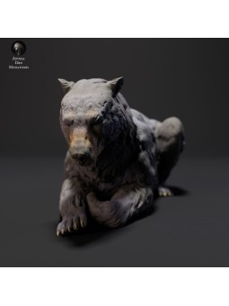 Oso negro descansando