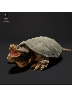 Common snapping turtle