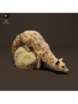 Gineta en Miniatura para Escenas y Dioramas