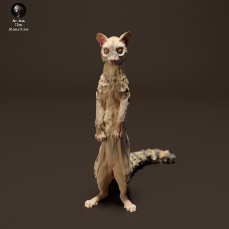 Standing genet