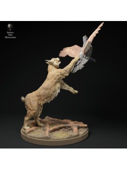 Lince ibérico cazando urogallo