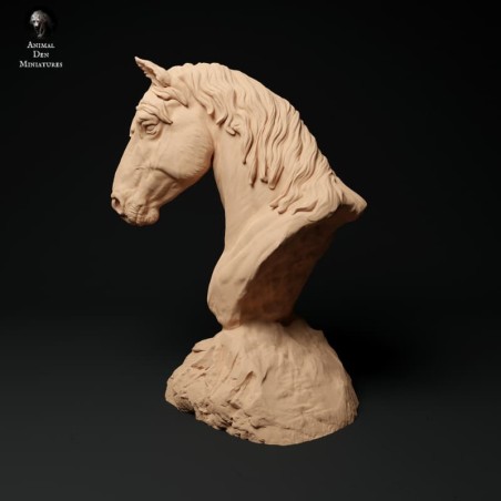 Konik Bust