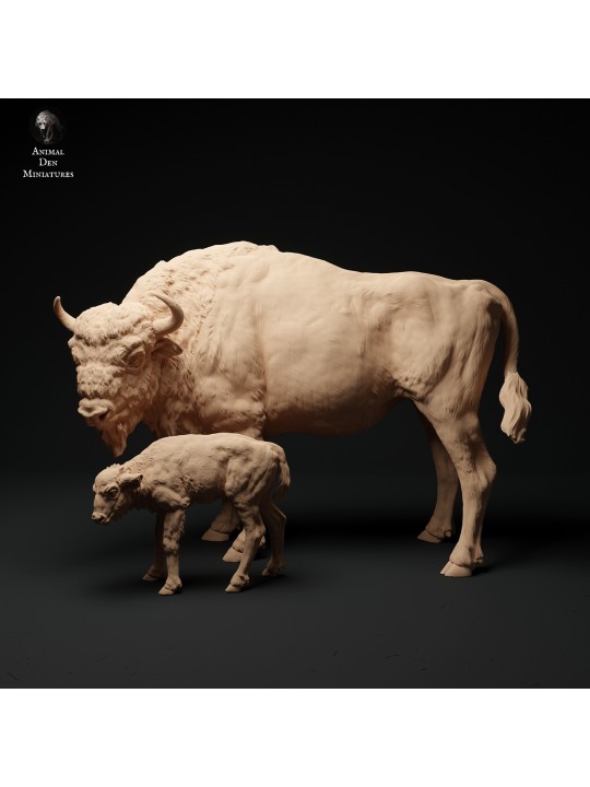 Bisonte europeo y ternero