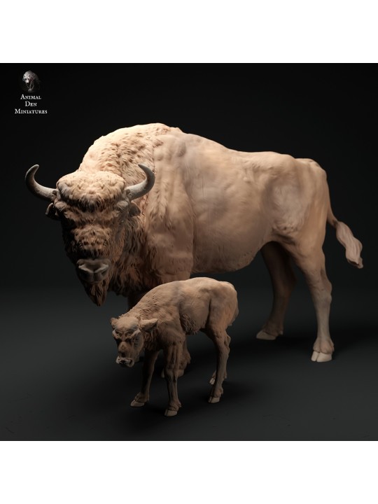 Bisonte europeo y ternero