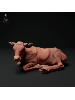 Becerro Devon rojo acostado