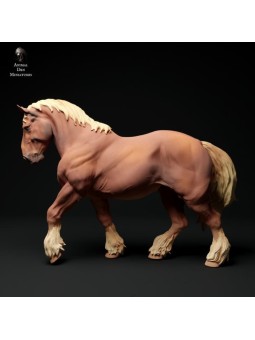 Suffolk Punch horse walking