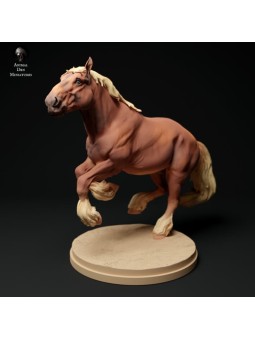 Suffolk Punch horse running