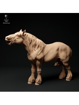 Caballo Suffolk Punch relinchando