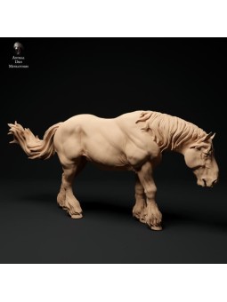 Suffolk Punch horse eating