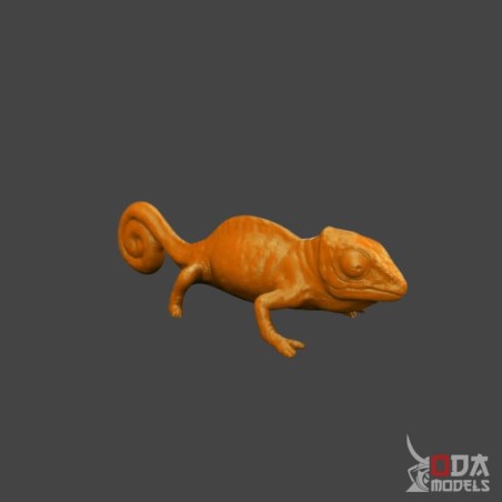 Chameleon