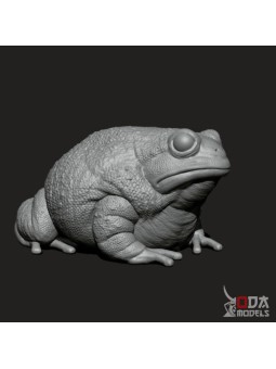 Sapo en Miniatura para Escenas y Dioramas