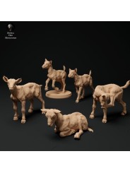 Cabritos Cabra alpina