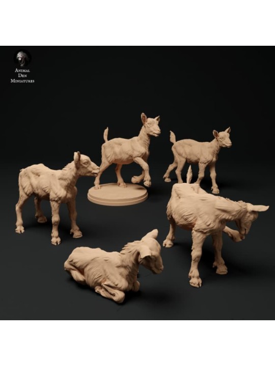 Cabritos Cabra alpina