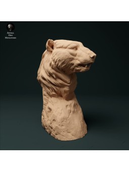 Busto Oso polar