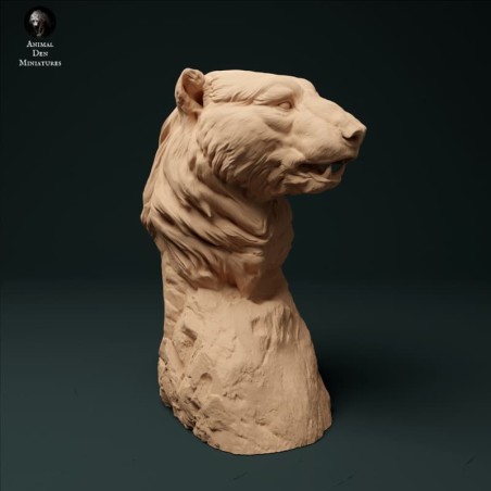 Busto Oso polar