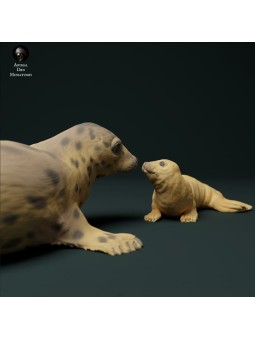 Gray seal with baby