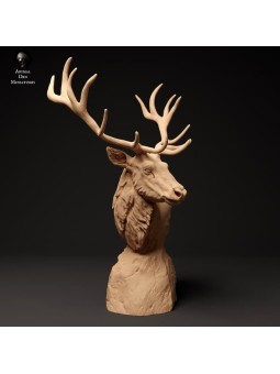 Red Deer Bust