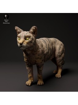 Gato salvaje escoces