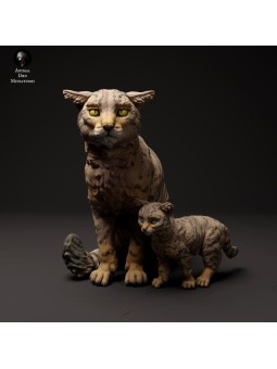 Gato salvaje escoces con gatito