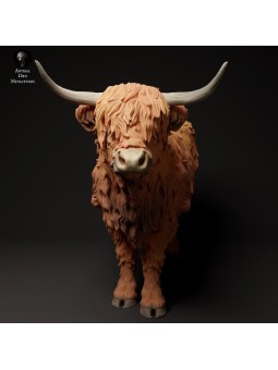 Vaca de las tierras altas