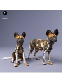 Cachorros de perro salvaje africano