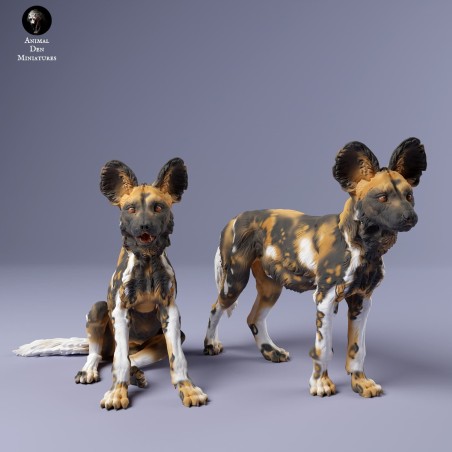 African wild dog puppies