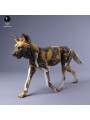 African wild dog walking