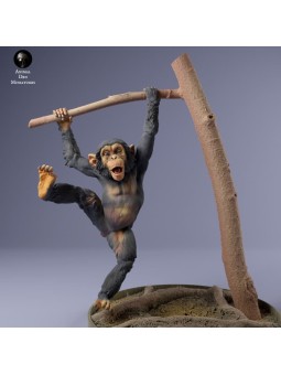 Baby chimpanzee playing on branch