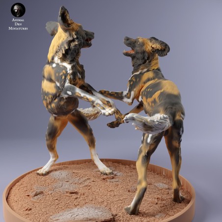 African wild dogs playing
