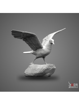 Gaviota sobre roca con alas abiertas