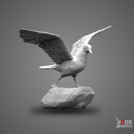 Seagull on rock with open wings